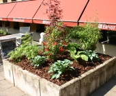 06juni-115