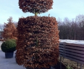 bild89