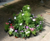 tradgard-sommar-2010-023