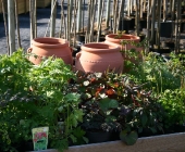 var-2011-062
