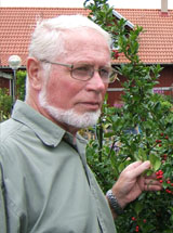 Arne